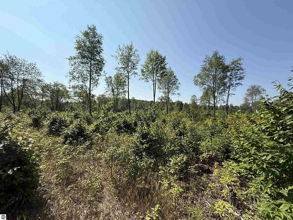 10 Acres of Land for Sale in Maple City, Michigan