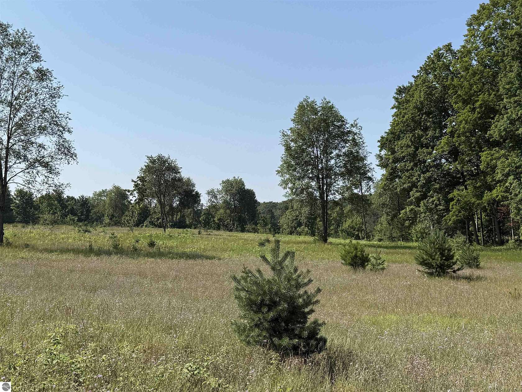 8.22 Acres of Land for Sale in Maple City, Michigan