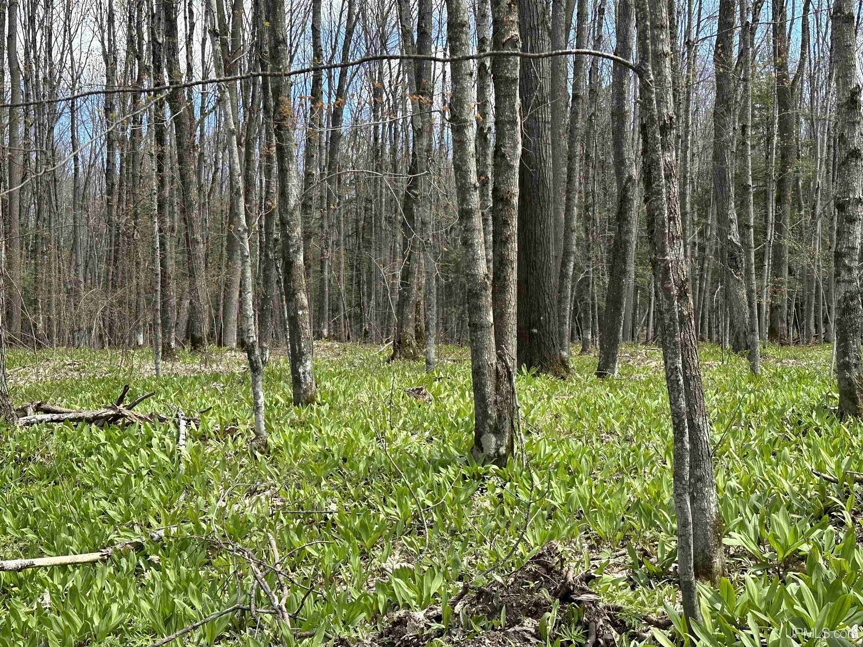 3.1 Acres of Residential Land for Sale in Marenisco, Michigan