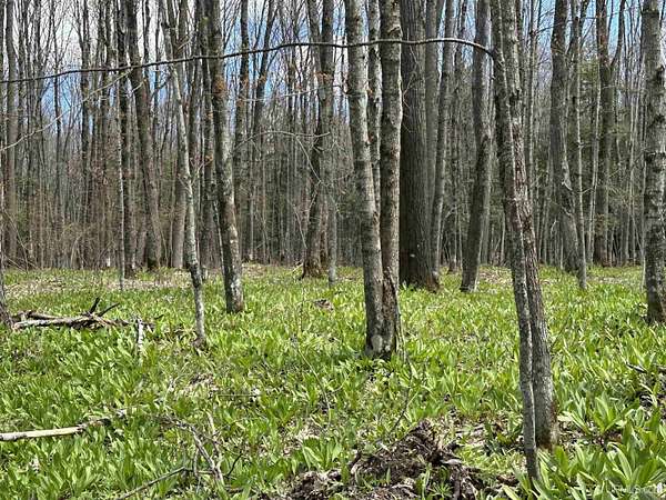 3.1 Acres of Residential Land for Sale in Marenisco, Michigan