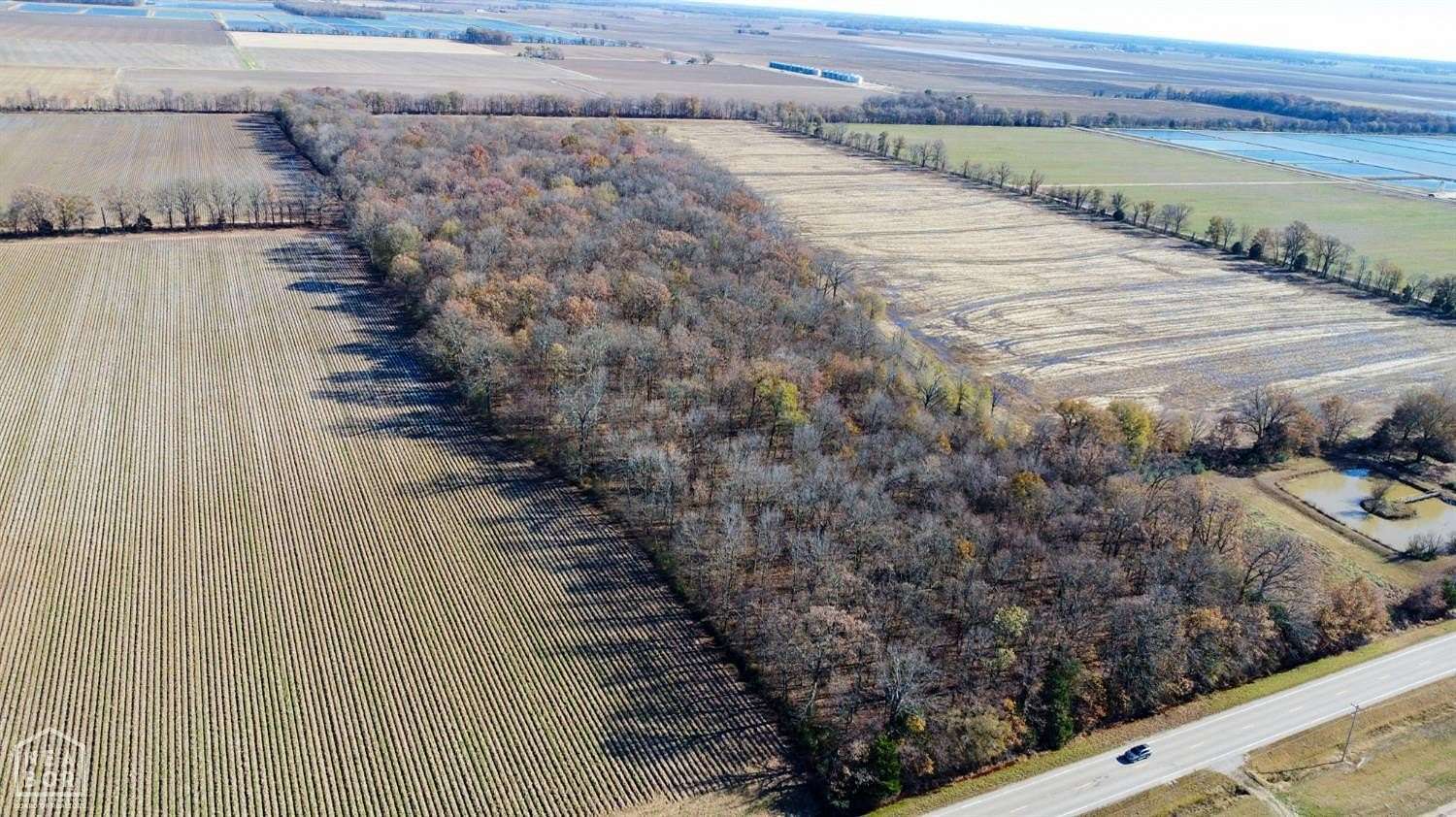 25 Acres of Recreational Land for Sale in Paragould, Arkansas