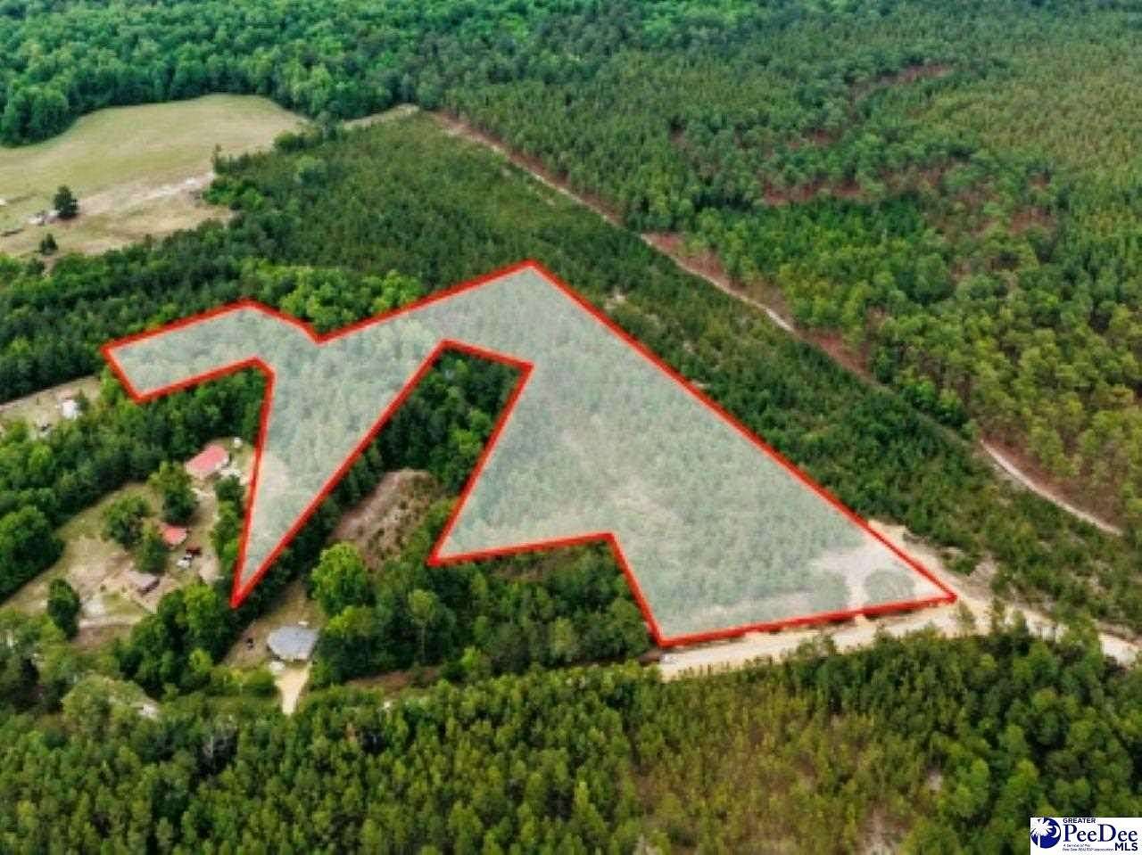 7 Acres of Residential Land for Sale in Patrick, South Carolina