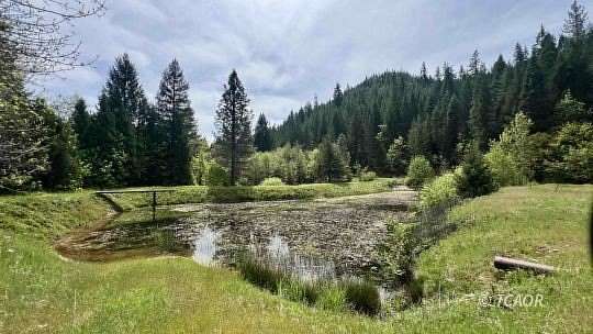 53.7 Acres of Recreational & Residential Land for Sale in Trinity Center, California