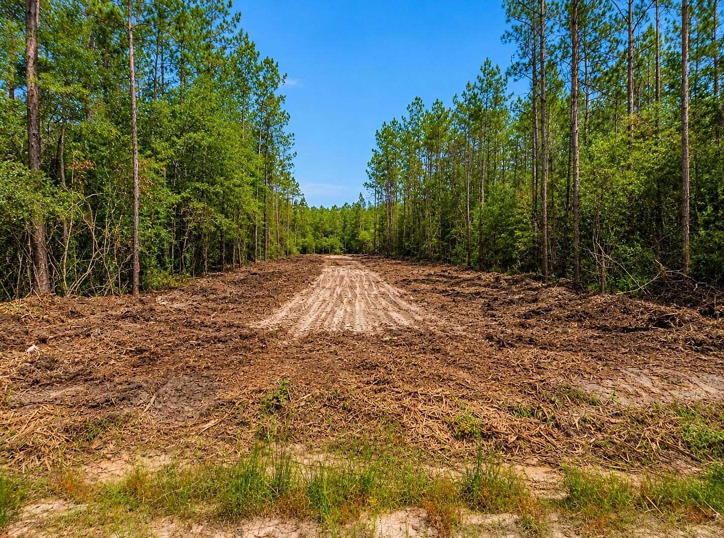 17.4 Acres of Land for Sale in Kountze, Texas