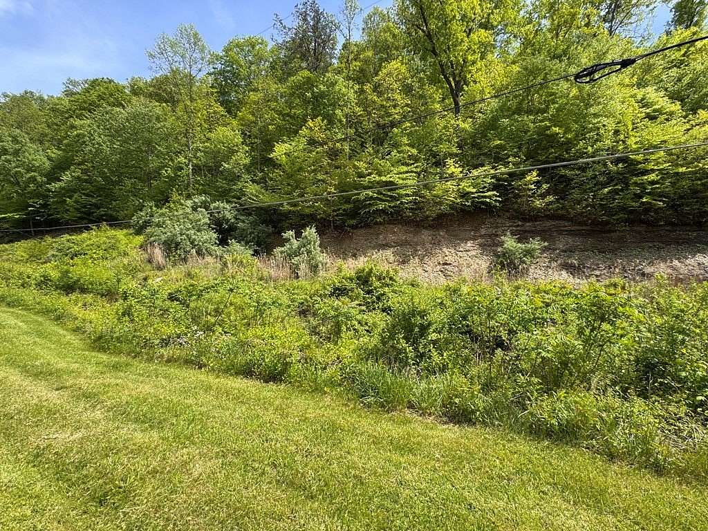 5 Acres of Residential Land for Sale in Oil Springs, Kentucky