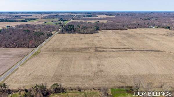 49.4 Acres of Agricultural Land for Sale in Fennville, Michigan