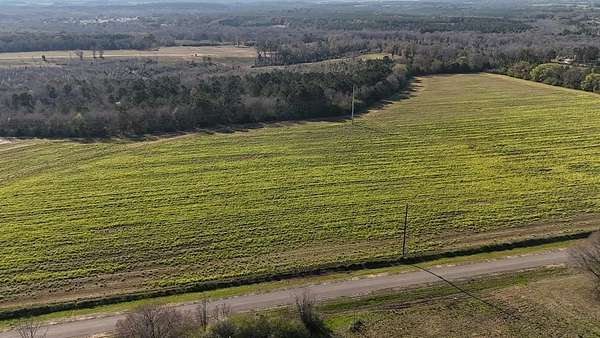 7.69 Acres of Residential Land for Sale in Headland, Alabama