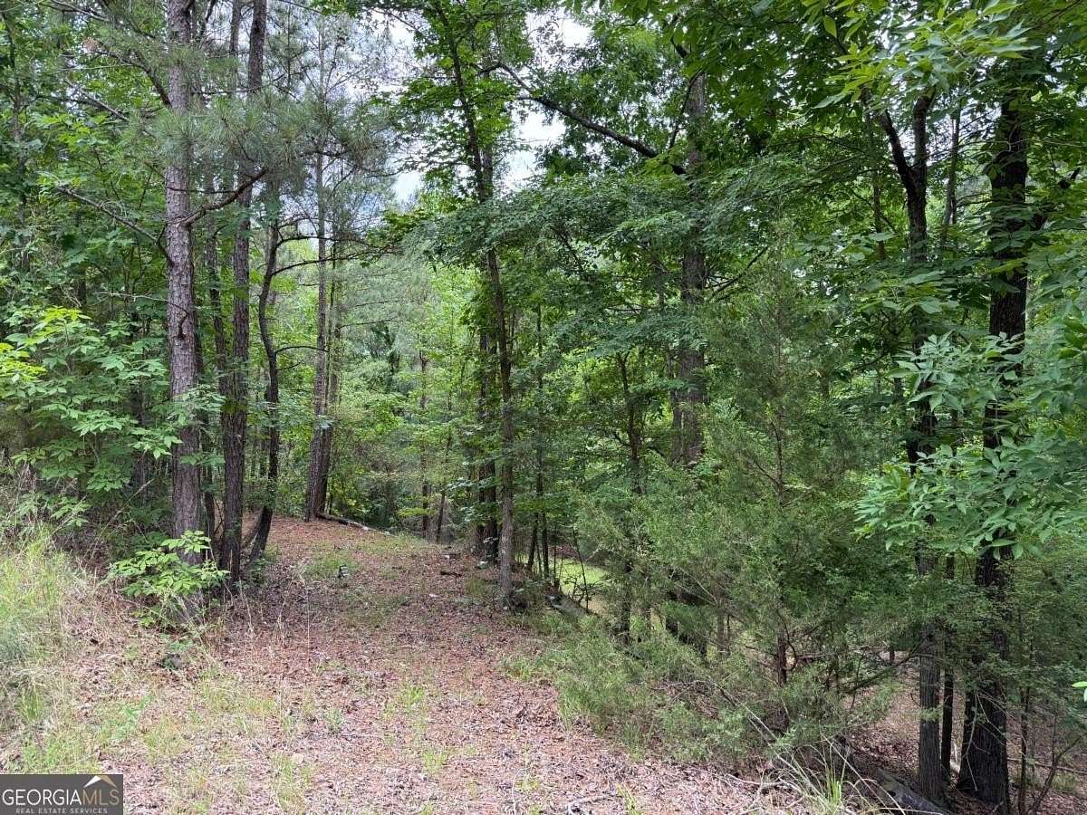 1.3 Acres of Residential Land for Sale in Elberton, Georgia