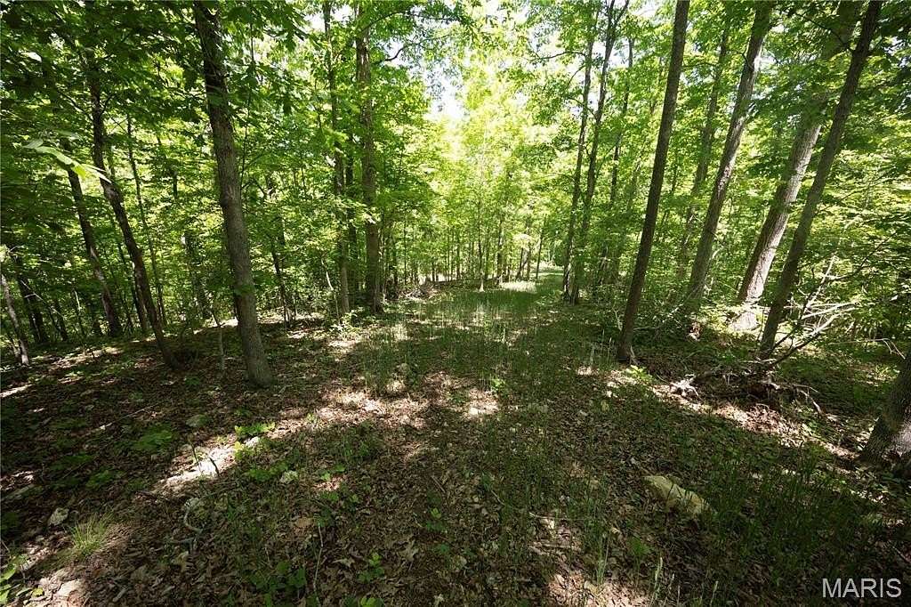 35.3 Acres of Recreational & Residential Land for Sale in Patton, Missouri