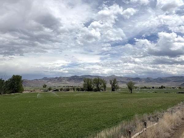 97.5 Acres of Agricultural Land for Sale in Challis, Idaho