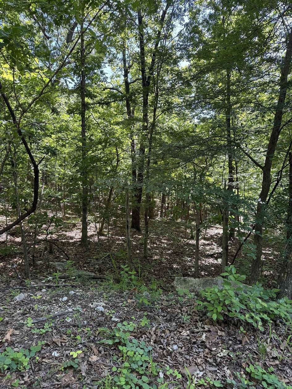 0.3 Acres of Residential Land for Sale in Cherokee Village, Arkansas