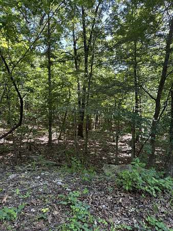 0.3 Acres of Residential Land for Sale in Cherokee Village, Arkansas