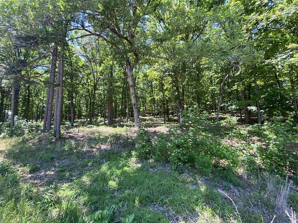 3 Acres of Residential Land for Sale in Edgemont, Arkansas