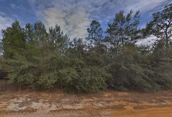 0.22 Acres of Residential Land for Sale in Interlachen, Florida