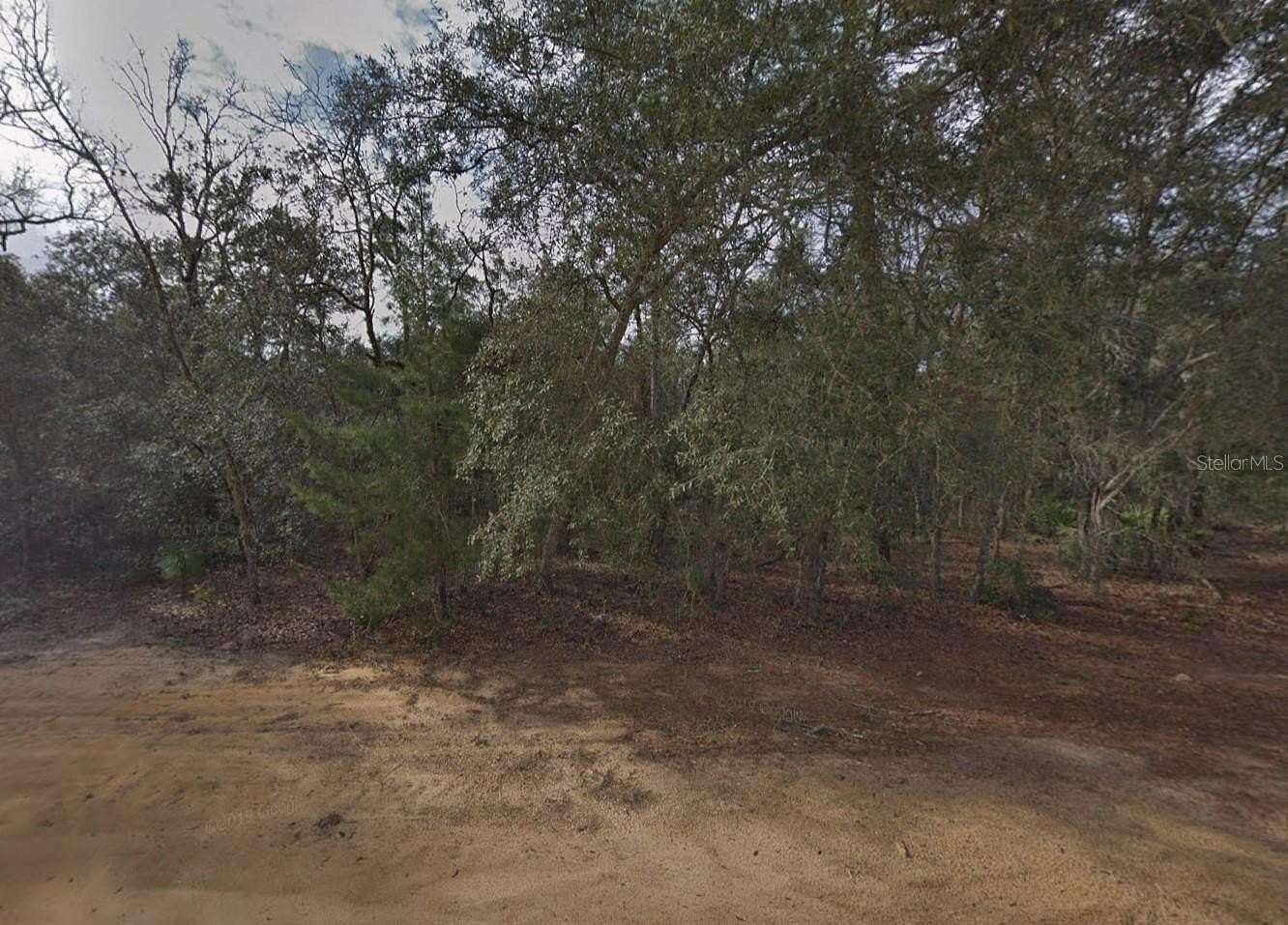 0.22 Acres of Residential Land for Sale in Interlachen, Florida