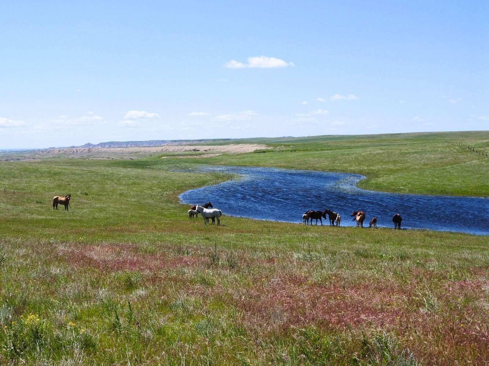 640 Acres of Agricultural Land for Sale in Scenic Township, South Dakota