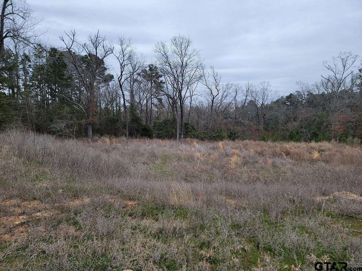 0.39 Acres of Residential Land for Sale in Tyler, Texas