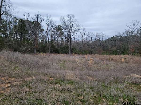 0.39 Acres of Residential Land for Sale in Tyler, Texas