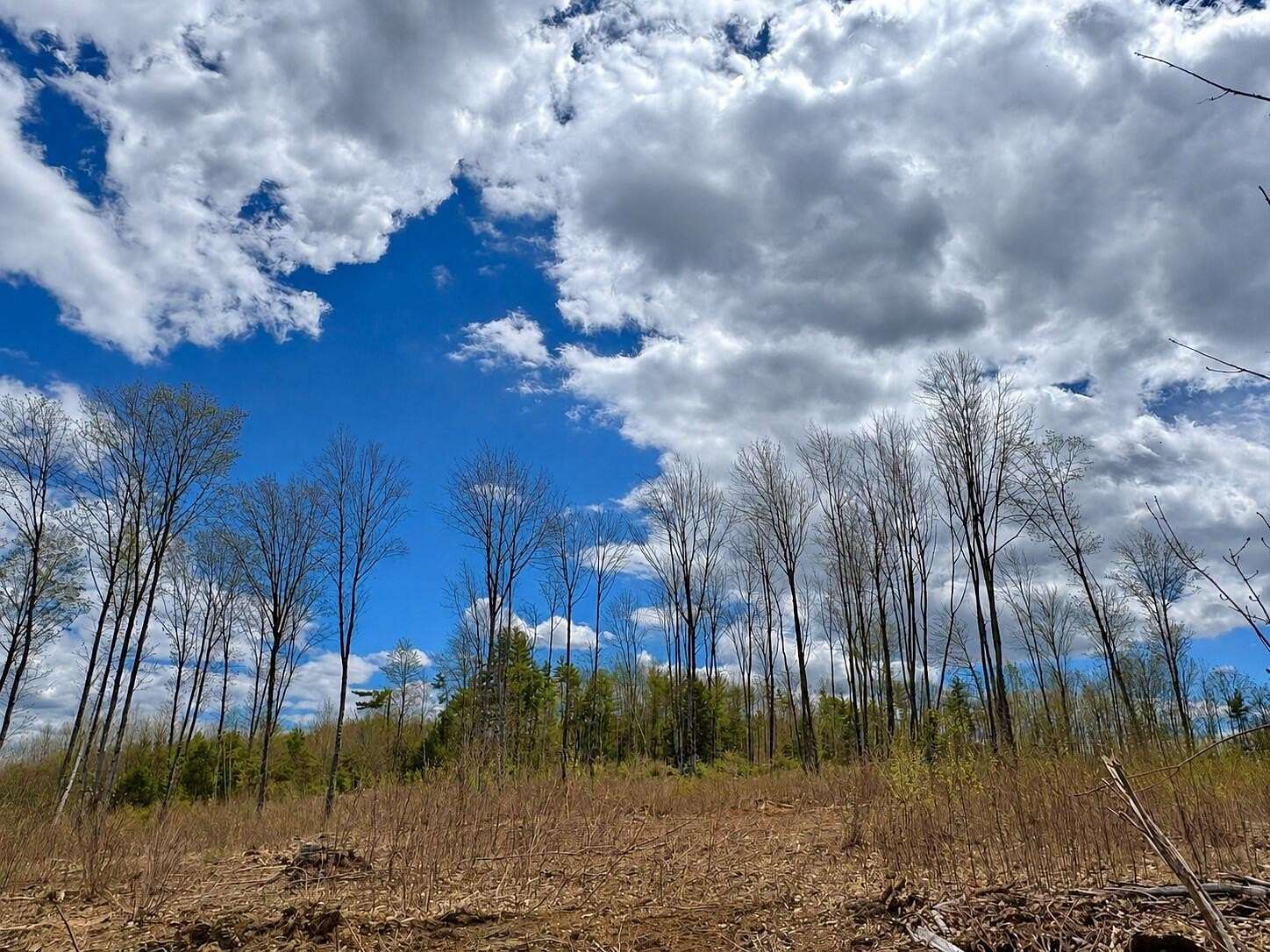 6.5 Acres of Residential Land for Sale in Cornish, Maine