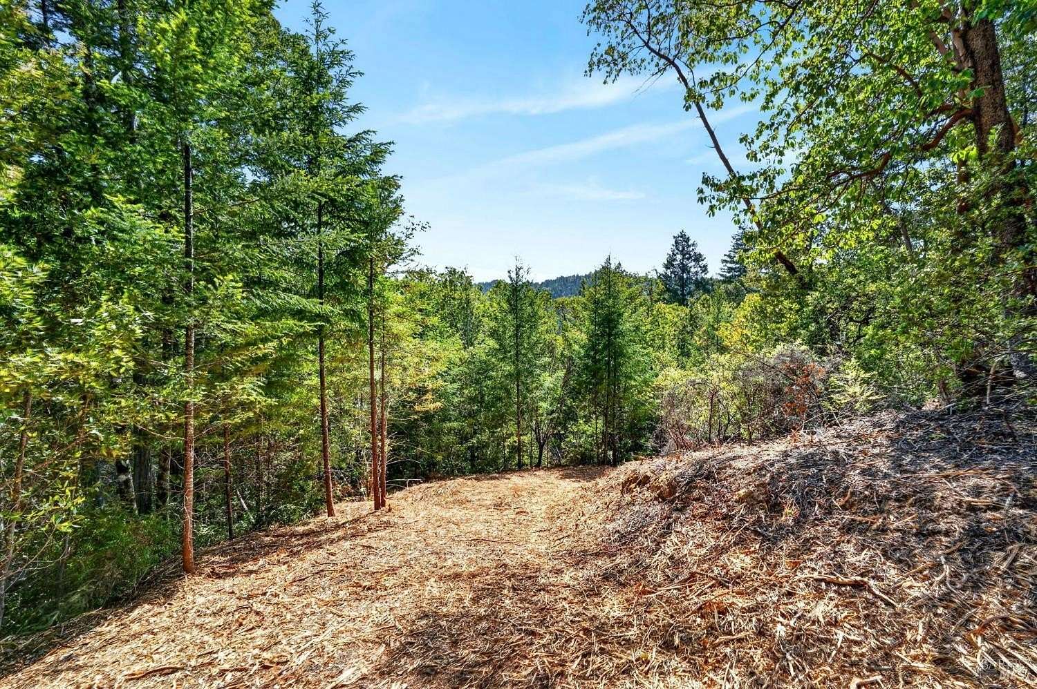 49.9 Acres of Recreational & Residential Land for Sale in Philo, California