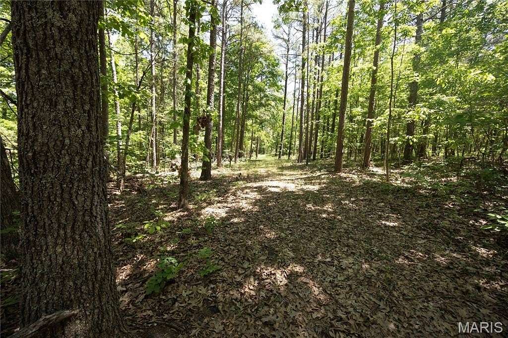 21.1 Acres of Recreational & Residential Land for Sale in Patton, Missouri