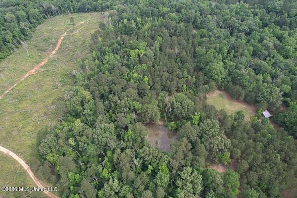 15 Acres of Land for Sale in Liberty, Mississippi