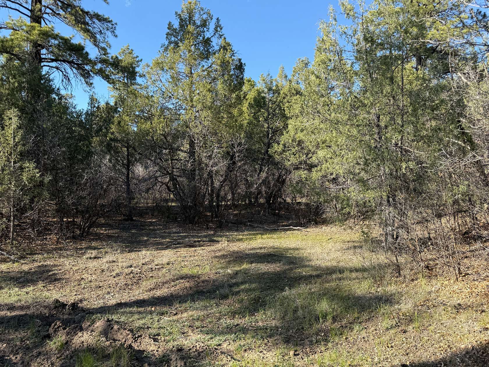 2.59 Acres of Land for Sale in Chama, New Mexico