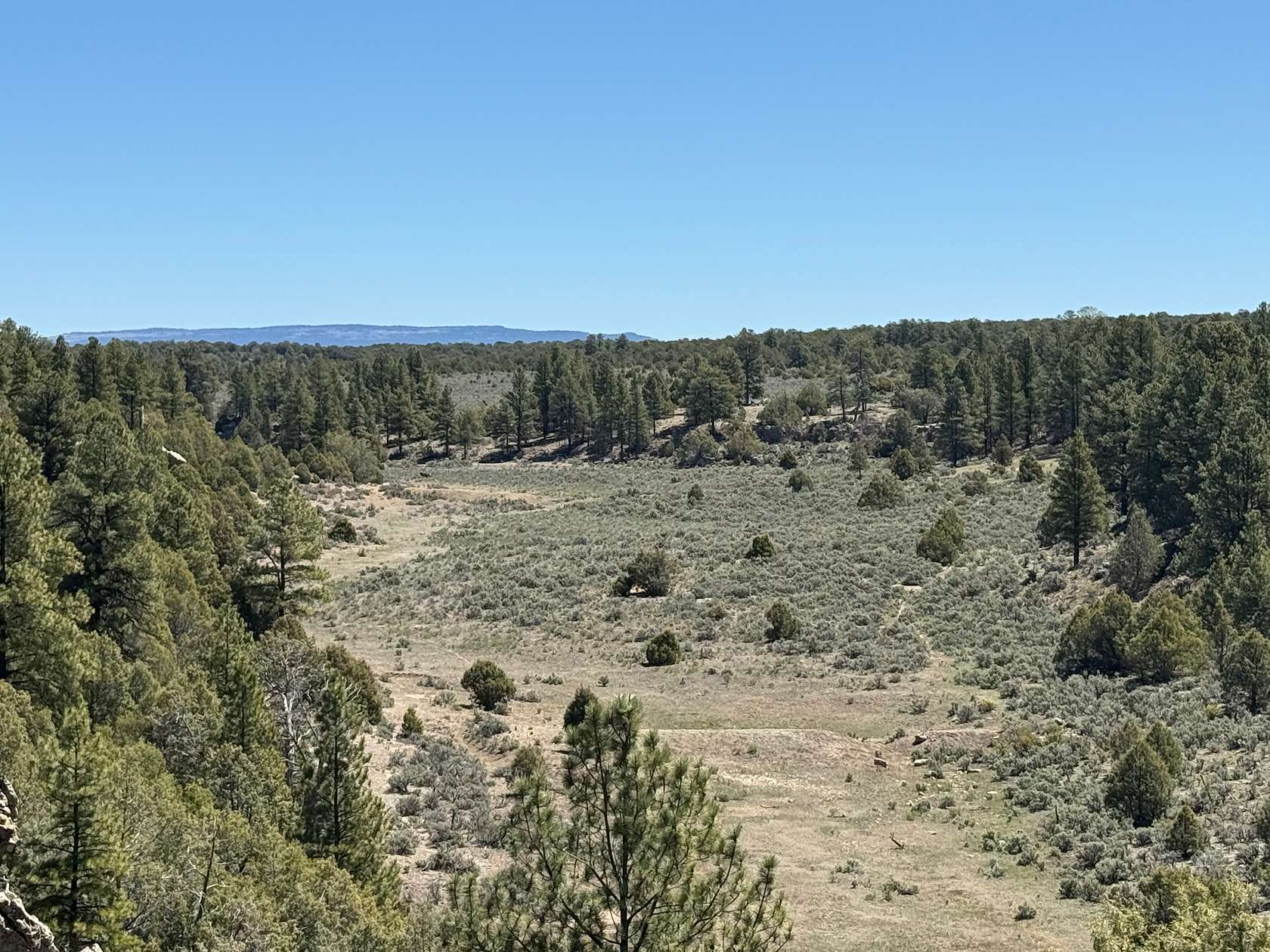 1,280 Acres of Land for Sale in Cebolla, New Mexico