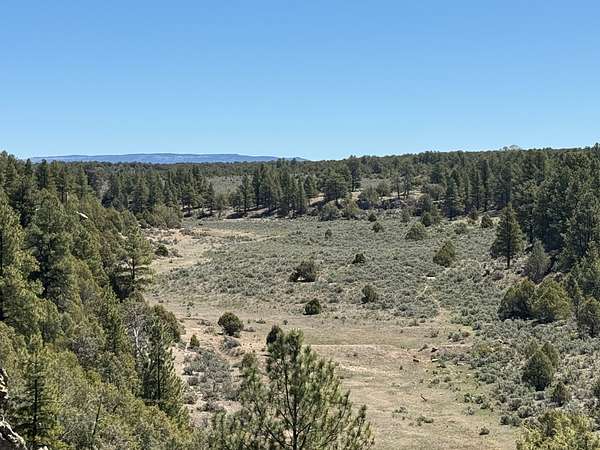 1,280 Acres of Land for Sale in Cebolla, New Mexico