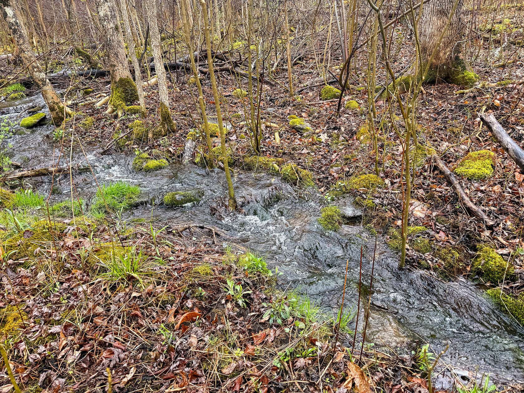 19 Acres of Land for Sale in Detroit, Maine