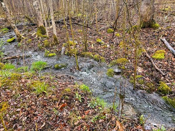 19 Acres of Land for Sale in Detroit, Maine