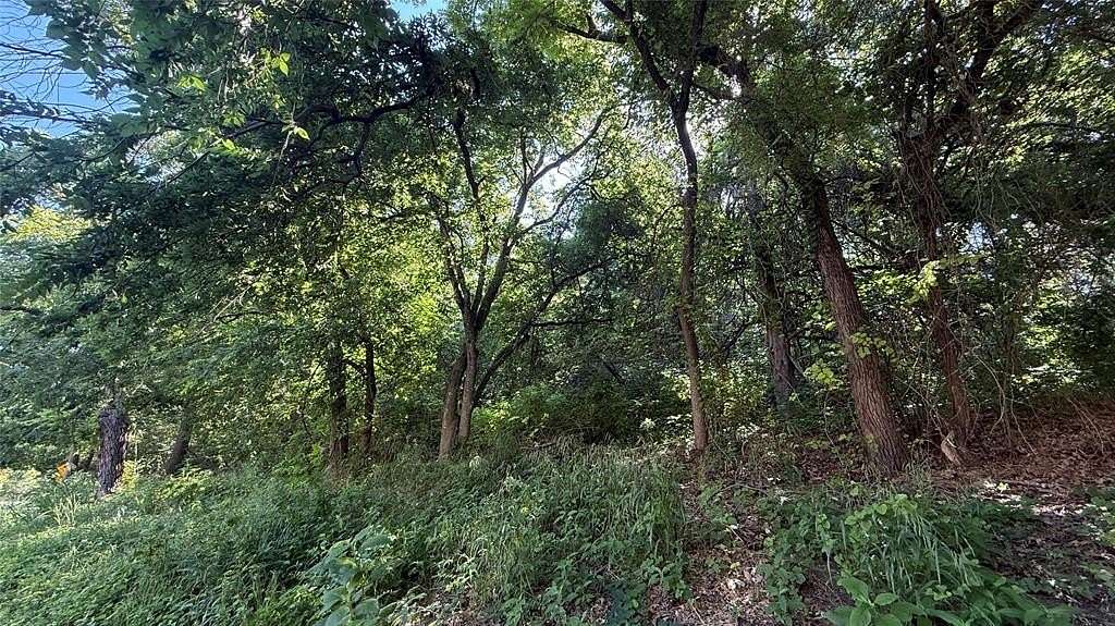 0.42 Acres of Residential Land for Sale in Cedar Hill, Texas