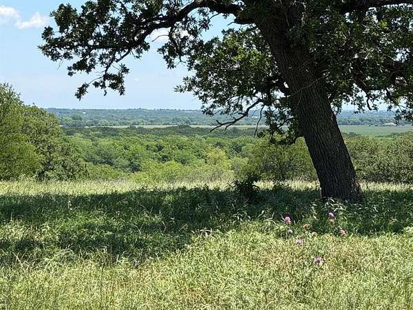 23 Acres of Recreational Land for Sale in Aquilla, Texas