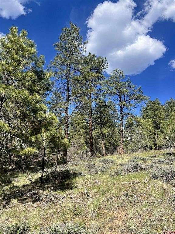 1 Acre of Residential Land for Sale in Pagosa Springs, Colorado