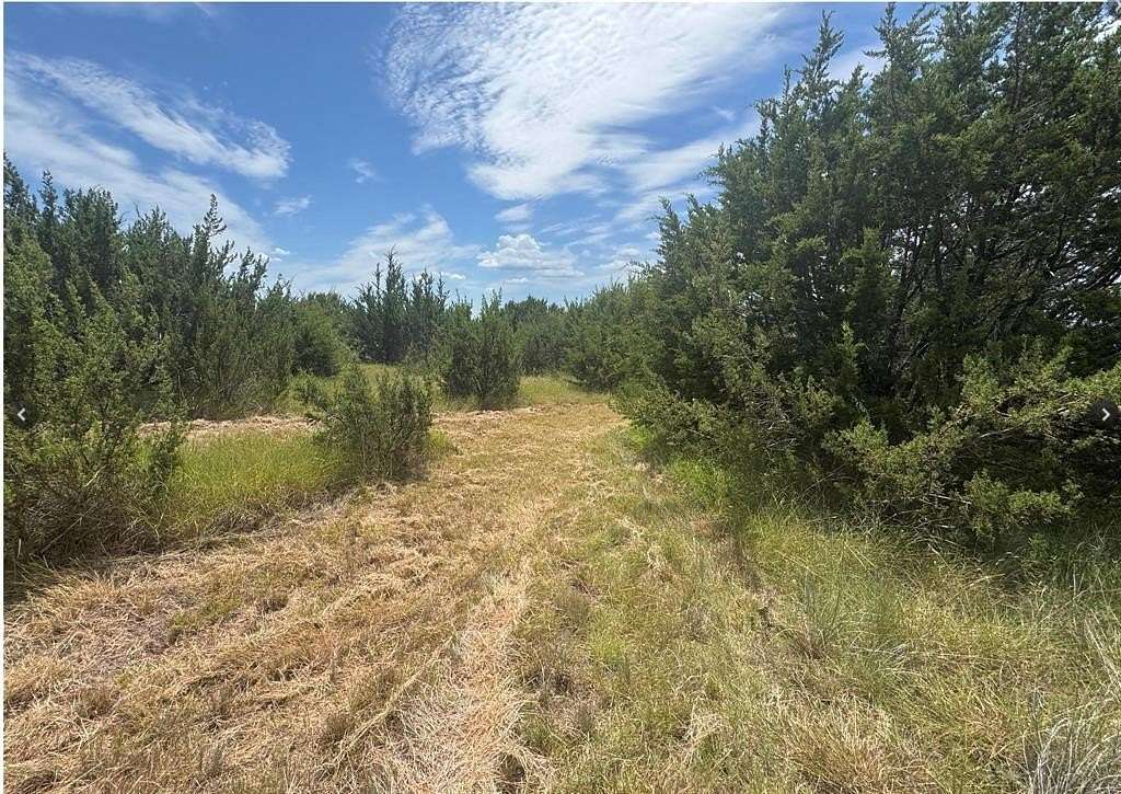 10 Acres of Agricultural Land for Sale in Lipan, Texas