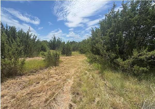 10 Acres of Agricultural Land for Sale in Lipan, Texas