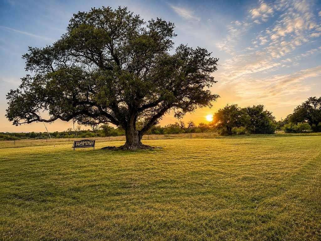 48 Acres of Recreational & Residential Land for Sale in Purmela, Texas