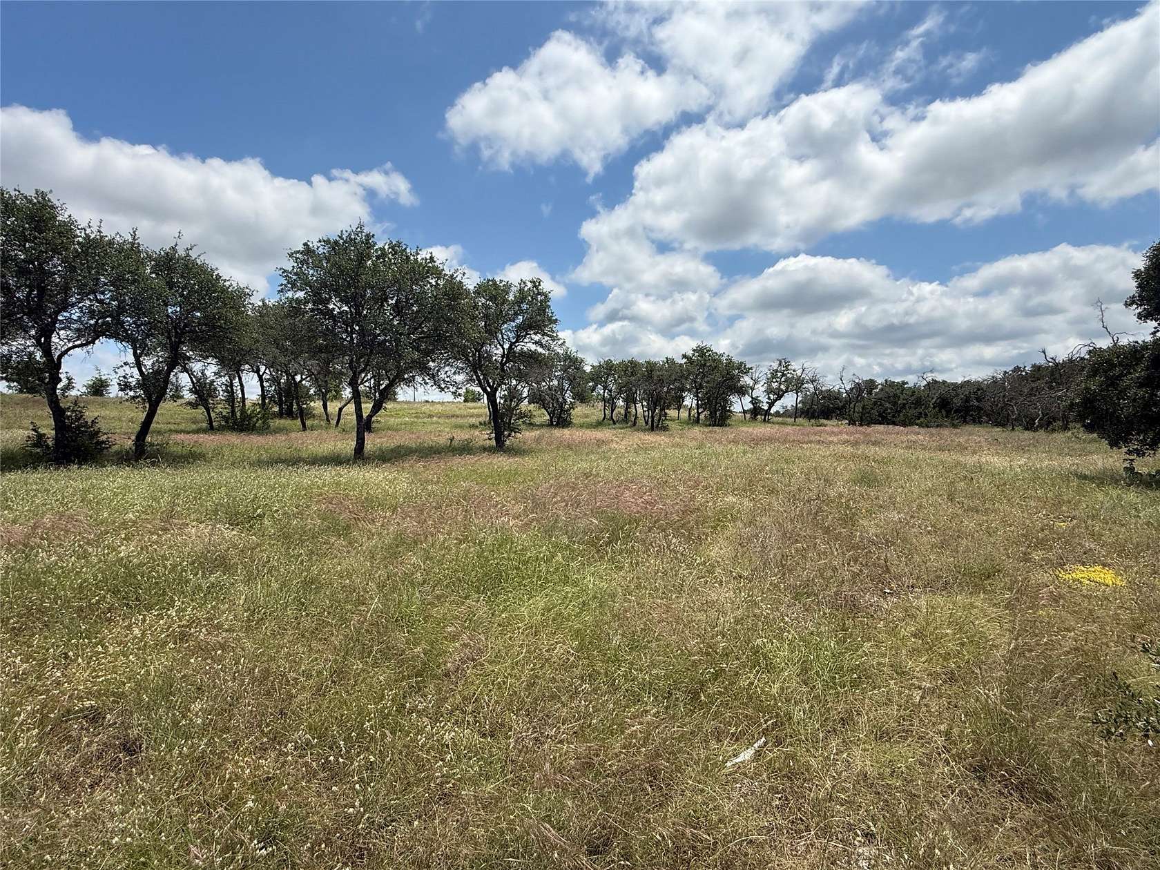 20 Acres of Recreational & Residential Land for Sale in Tolar, Texas