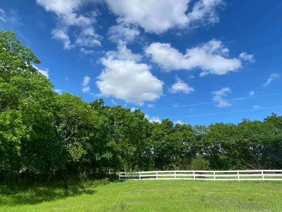 13.2 Acres of Land for Sale in Celeste, Texas