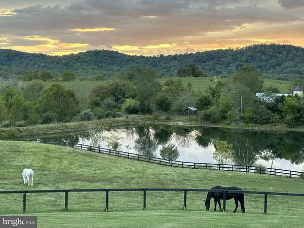 44.6 Acres of Agricultural Land with Home for Sale in Amissville, Virginia
