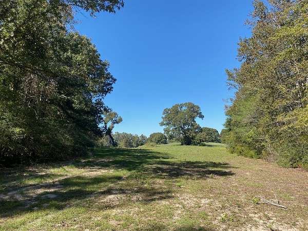 10.6 Acres of Land for Sale in Oakwood, Texas