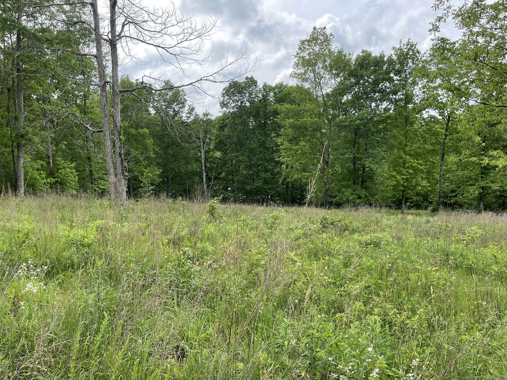 1.2 Acres of Residential Land for Sale in Cumberland City, Tennessee