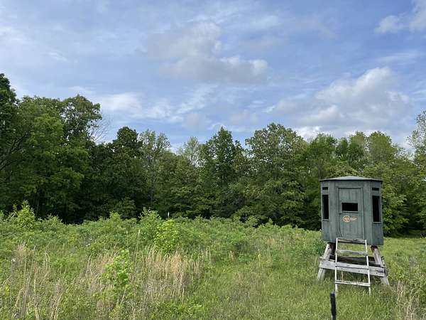 22.8 Acres of Recreational & Residential Land for Sale in Erin, Tennessee