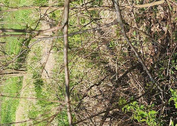 0.17 Acres of Residential Land for Sale in Woodstock, Illinois