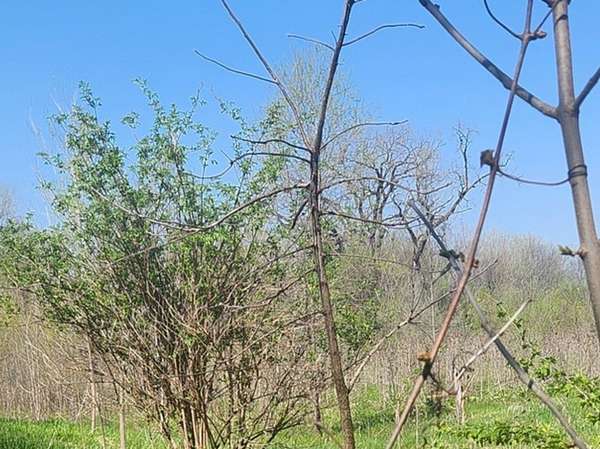 0.25 Acres of Land for Sale in Woodstock, Illinois