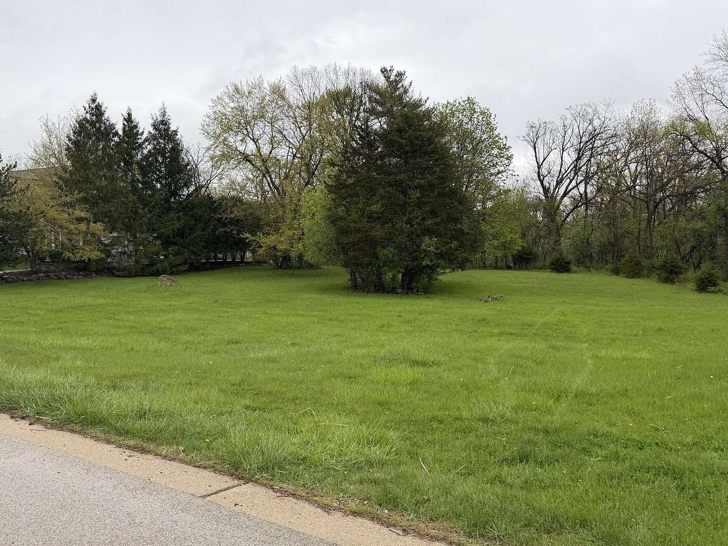 1.28 Acres of Residential Land for Sale in North Barrington, Illinois