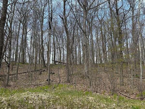 0.46 Acres of Land for Sale in Garrison, Minnesota