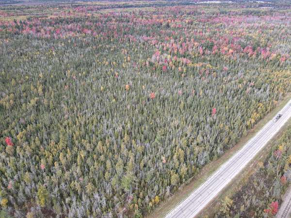 33.5 Acres of Recreational Land for Sale in Kalkaska, Michigan