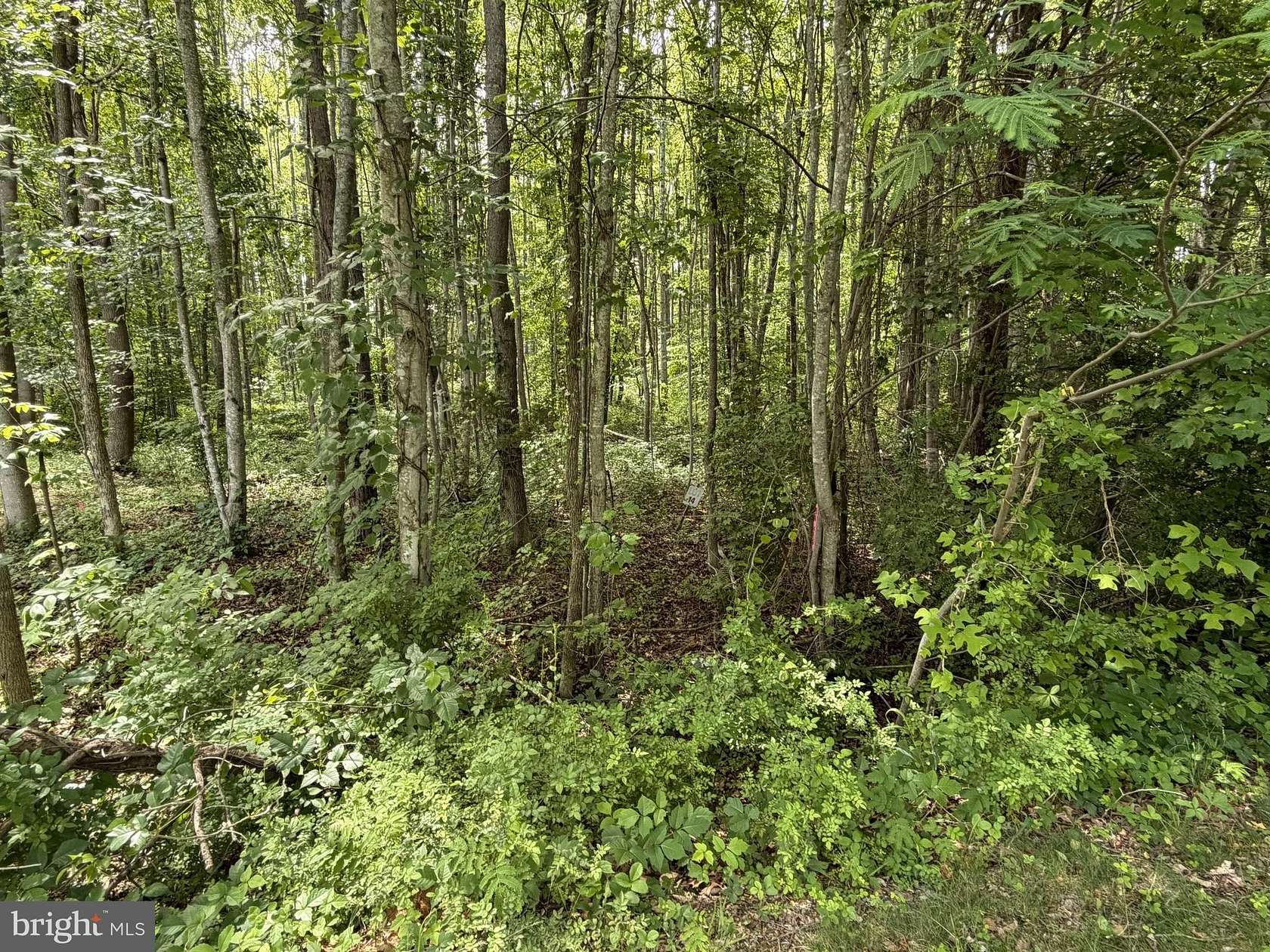 1 Acre of Residential Land for Sale in Bumpass, Virginia
