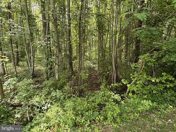 1 Acre of Residential Land for Sale in Bumpass, Virginia